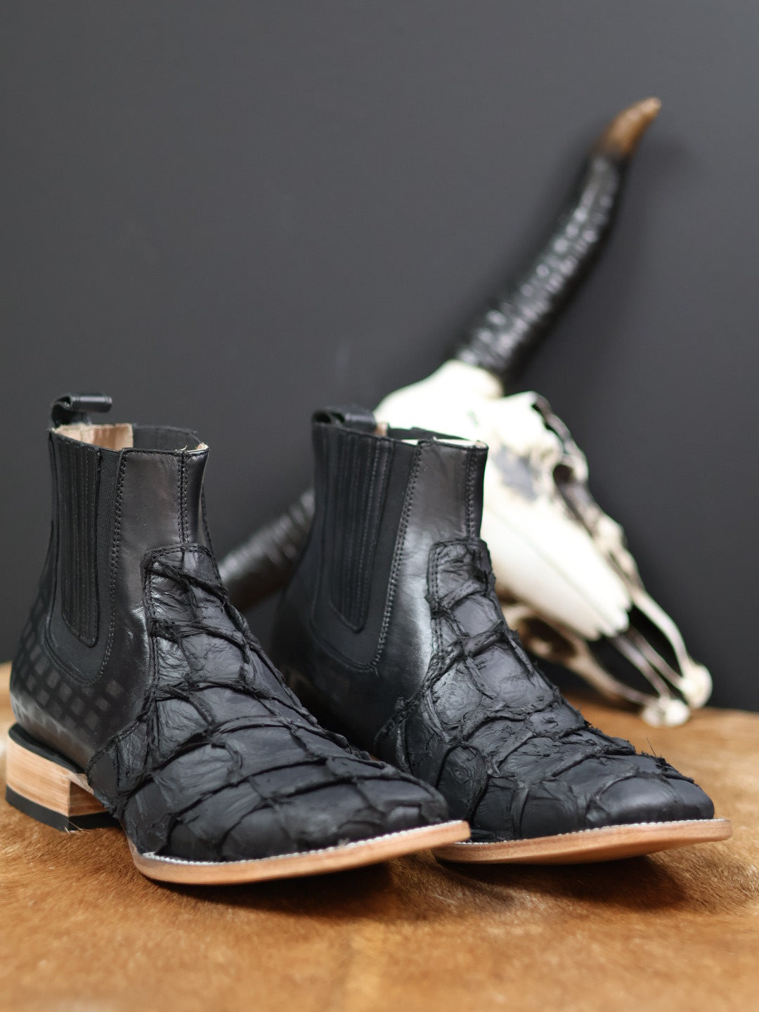 Botin Pez Exótica
